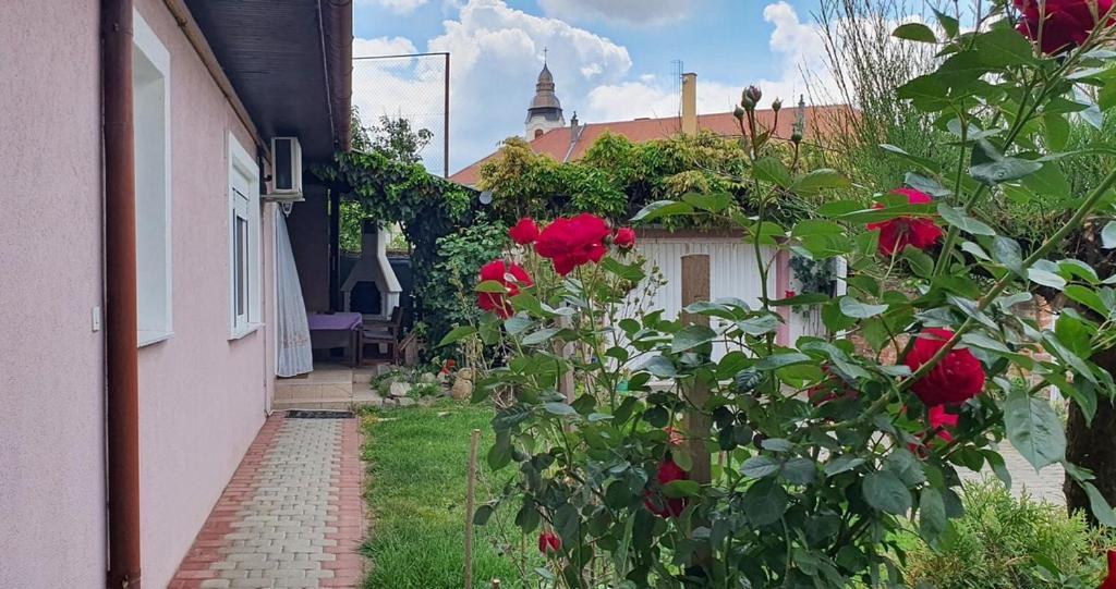 Apartman Ksenija Ðakovo Eksteriør billede